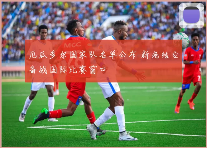 厄瓜多尔国家队名单公布 新老结合备战国际比赛窗口