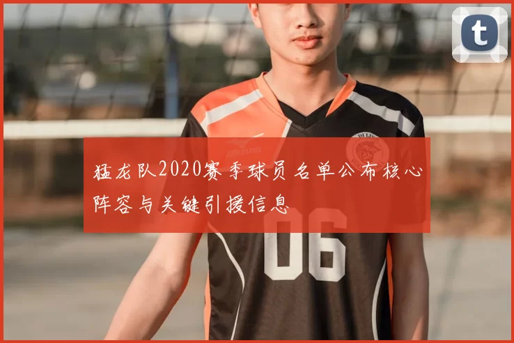 猛龙队2020赛季球员名单公布核心阵容与关键引援信息