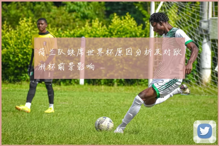 荷兰队缺席世界杯原因分析及对欧洲杯前景影响