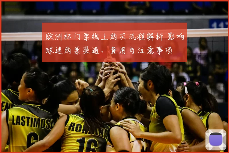欧洲杯门票线上购买流程解析 影响球迷购票渠道、费用与注意事项