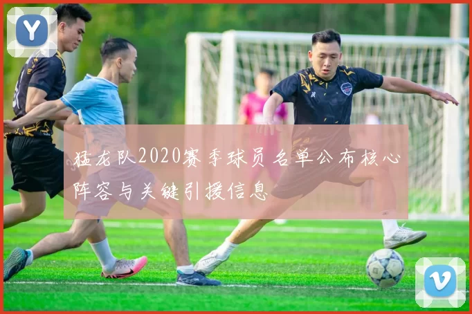 猛龙队2020赛季球员名单公布核心阵容与关键引援信息