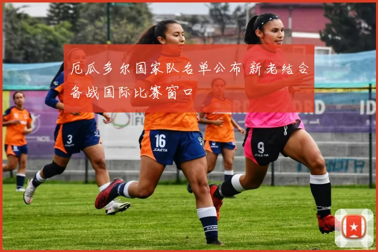 厄瓜多尔国家队名单公布 新老结合备战国际比赛窗口