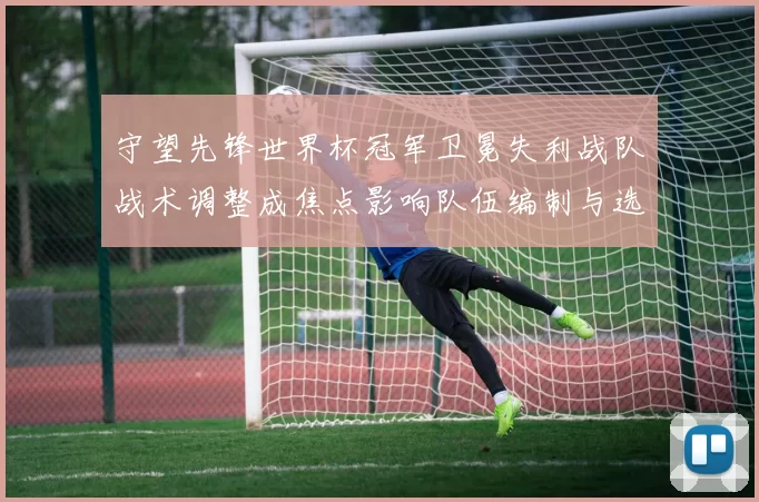 守望先锋世界杯冠军卫冕失利战队战术调整成焦点影响队伍编制与选手培养