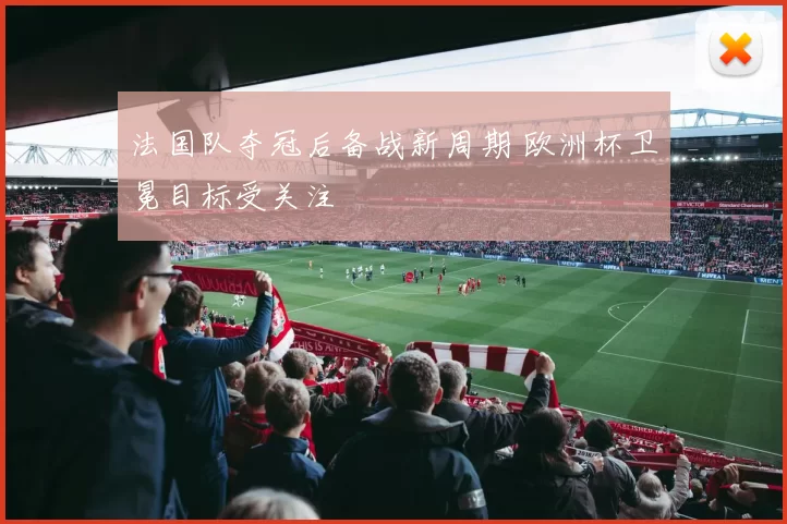 法国队夺冠后备战新周期 欧洲杯卫冕目标受关注